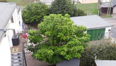 Ferienwohnung - Foto 4