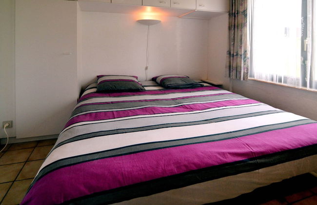 Pet Escape in Ardennes - Foto 3