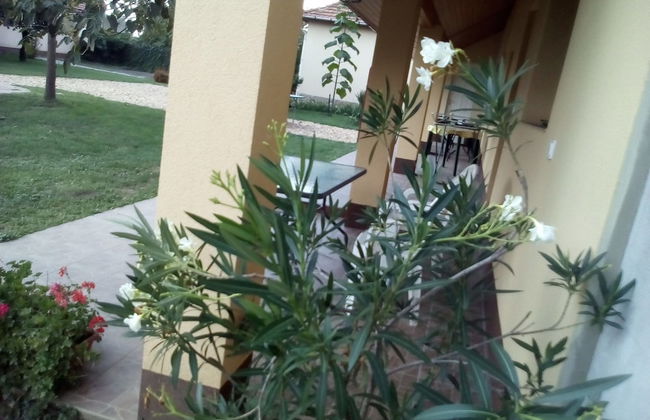 Potyka Apartman - Foto 19