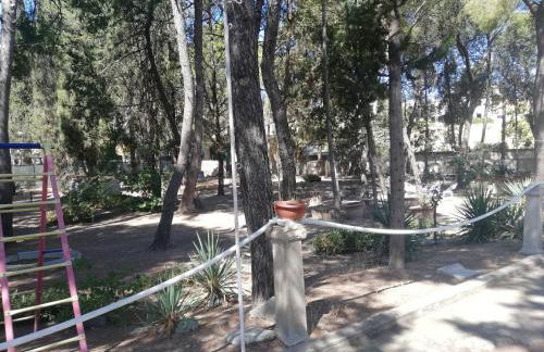 Wild Paradise - Foto 10