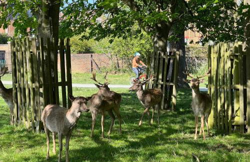 Escape by The River & Bushy Park - Foto 22