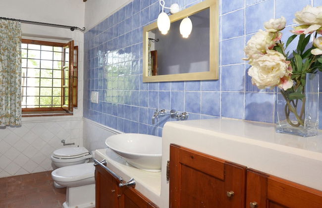 Francigena 5 - Foto 35