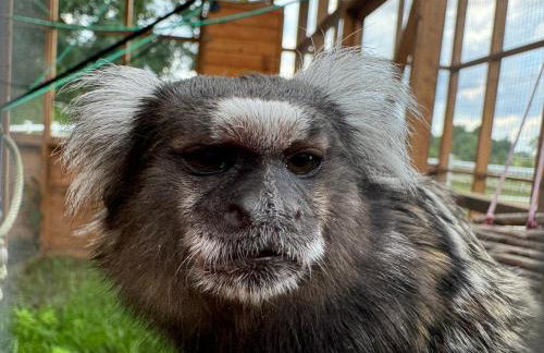 Agroturystyka Zielony Zakątek w Wiewiecku - Foto 27