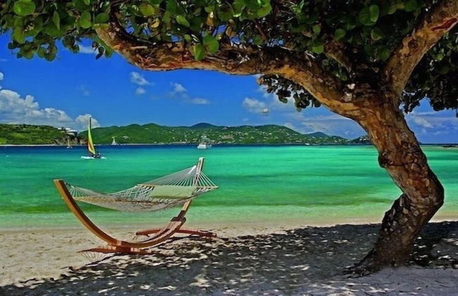 Ritz Carlton - Foto 41