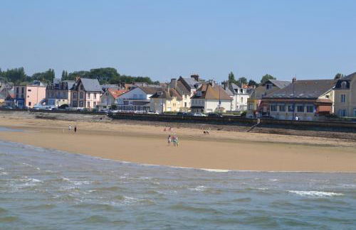 Gîte "Au P'tit Tourois" de plain-pied tout confort avec véranda proche d'Omaha Beach et de Bayeux accueillant les animaux - Foto 49