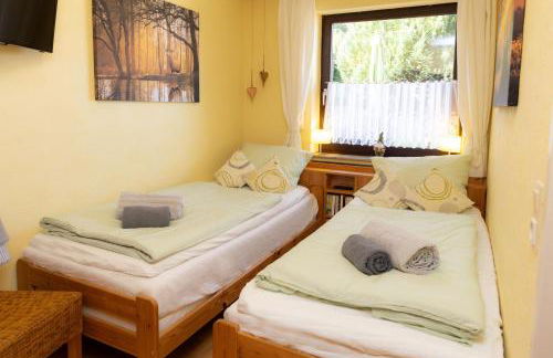 FeWo Harzer Bergwind Sankt Andreasberg, 1 Hund bis 30Kg willkommen, große eingezäunte Terrasse mit Gasgrill - Foto 20