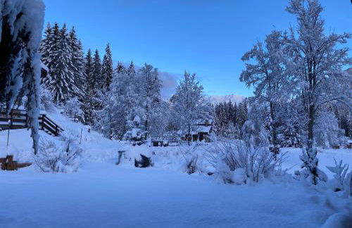 Maison Eglantine - Foto 57