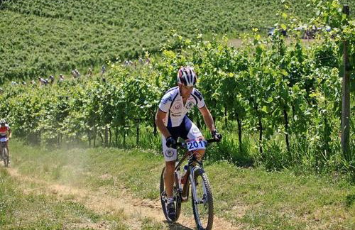 Mare & Bartol - Foto 35