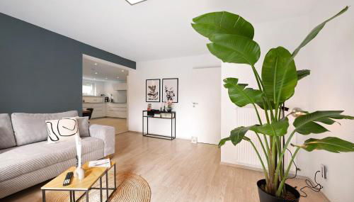 Casa Schneck - Foto 3