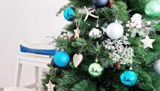 Punta Panoramic - Punta Mujeres - Foto 5