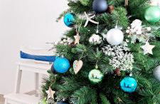 Punta Panoramic - Punta Mujeres - Foto 5