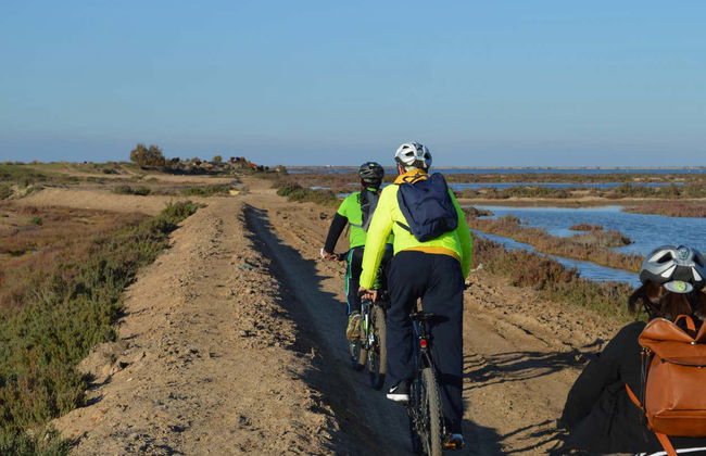 Bike Tour through the Odiel Marshes - Photo 1