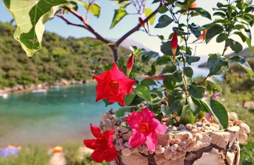 Apartments Villa Cebalo-Korčula - Foto 20