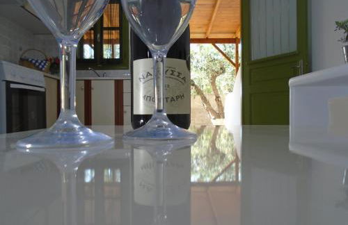 Leros Eleonas Apartments - Foto 71