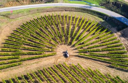 Cascina Binè - Foto 7