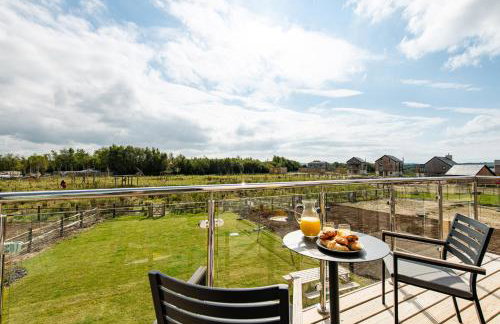Meadow Hare SV06 Silverlake Dorset - Photo 36