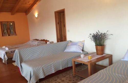 Villa Visnjan Residence - Photo 53