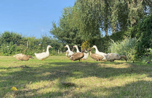 A Serene and Tranquil Escape for two - Photo 17