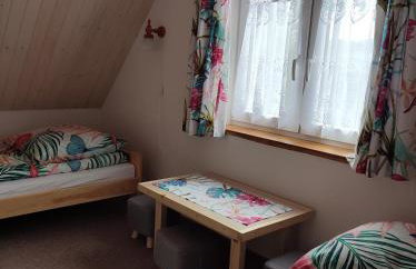 Domek Bieszczadzkie Brzegi - Foto 17