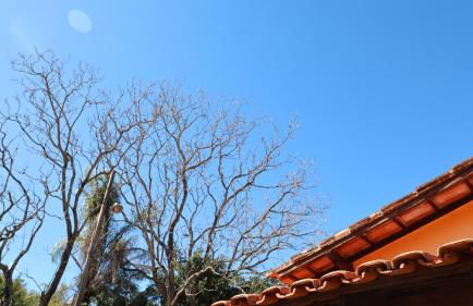 Haras Santa Amalia - Nova União MG - Foto 20