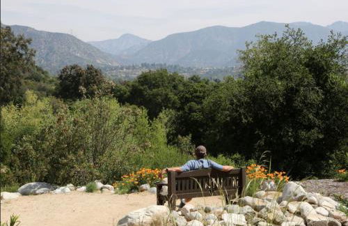 SoCal Lux on Miramar - Foto 28