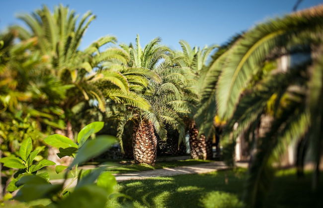 Finis Africae Country House - Photo 55