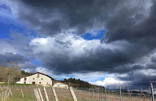 Agroturismo Erlete Goikoa -ESTAMOS EN EL CAMINO DE SANTIAGO -WE ARE ON THE CAMINO DE SANTIAGO- SENDERISMO-RUTAS Y BICICLETA - Photo 12
