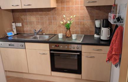 Ostfriesland für Familie und Haustier - Foto 6