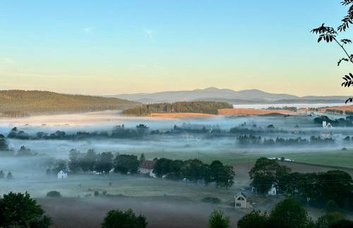 Jarzębinowe Wzgórze - Foto 18