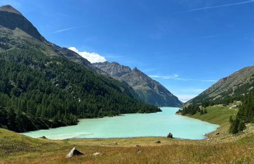 La maison des amis - Foto 43