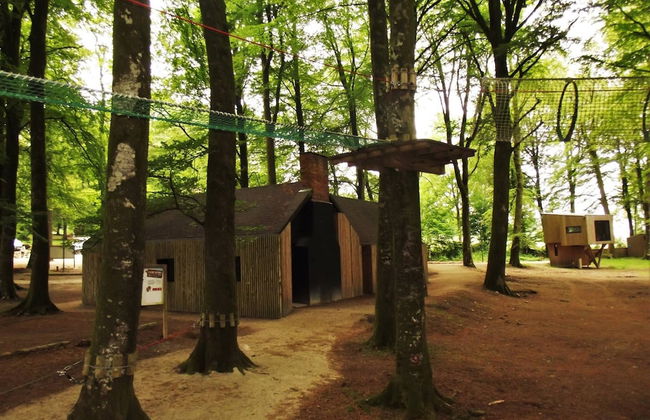 Etape en forêt - Foto 66