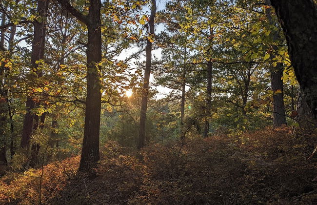 Airstream with Sunset Deck - Foto 8