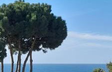 Health Village Apartments - Foto 76