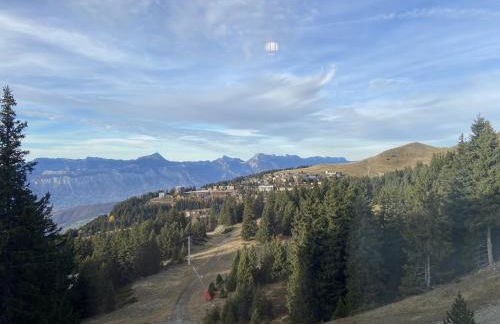 Appartement Fred Chamrousse - Au pied des pistes avec connexion wifi internet haut débit fibre - idéal pour les télétravailleurs - Foto 39