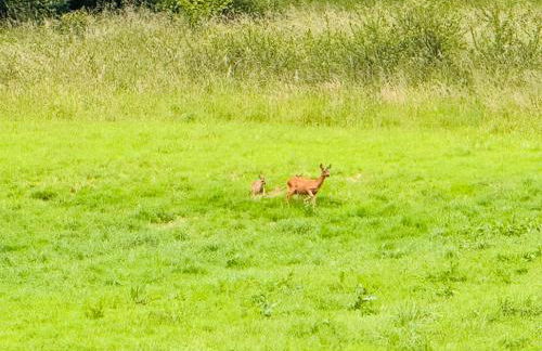 la vallée du paradis studio avec balnéothérapie en campagne - Foto 57