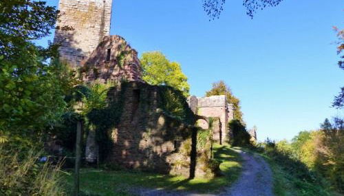 Ferienwohnungen Blumenschein - Foto 3