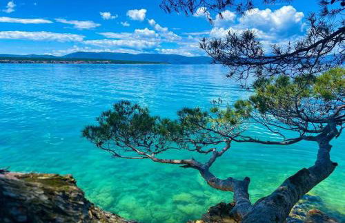 Apartment Fancy - Foto 43