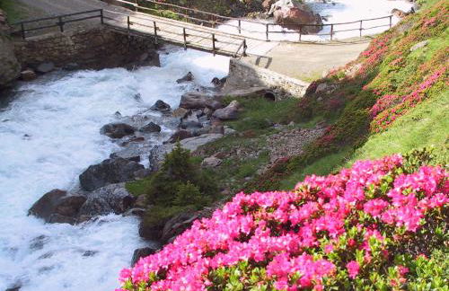 Anemone Home - Foto 14