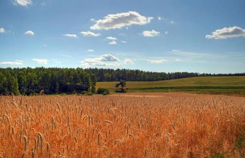 "Dolina szczęścia" Kartkowo - Foto 35