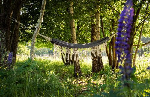 Butterfly Factory - Foto 39