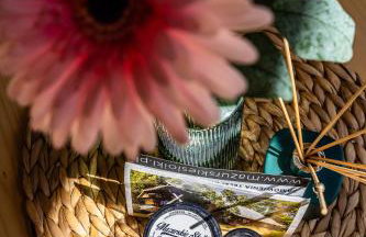 Gulbity Camp - Foto 31