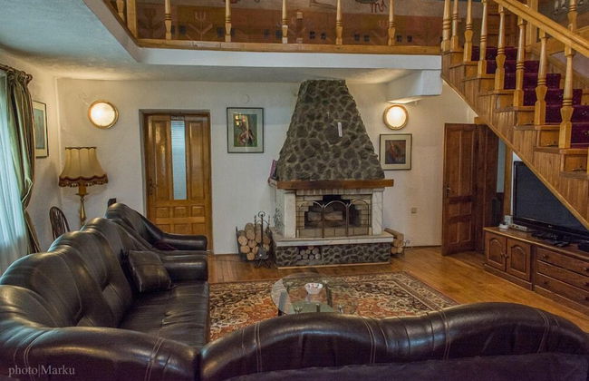 Vila Flora Viseu de Jos - Foto 20