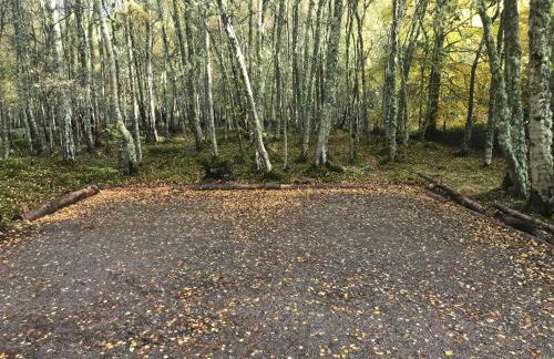 Thistle Cottage, CrannachCottages - Foto 21