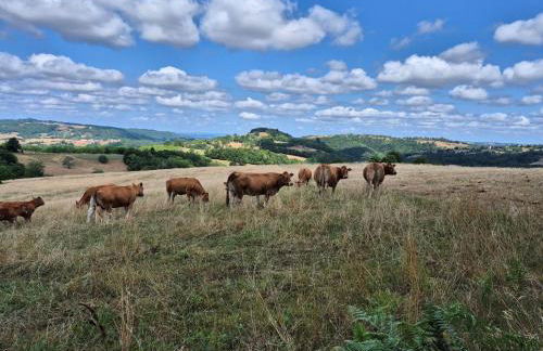 Gîte Pierre, Beynat, Corrèze - Foto 33