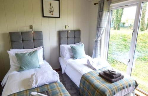 Squirrel Lodge - Foto 14