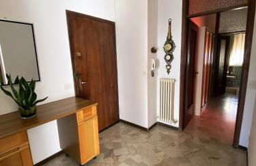 Flat Seriate - Photo 4