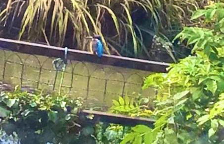 Bellows Mill - Photo 15