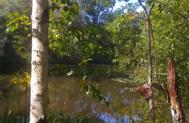 Ferienwohnung Hainbuche Lübben im Spreewald - Foto 39