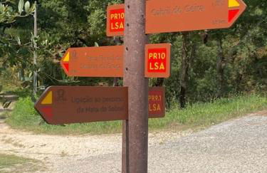 Quinta da Maria Mendes - Foto 48