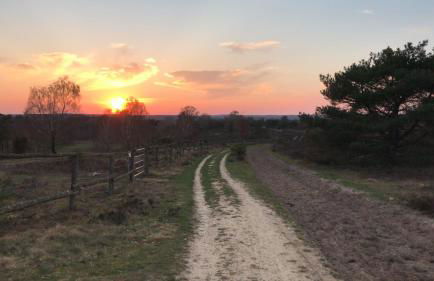 Haus Petersen - Foto 38